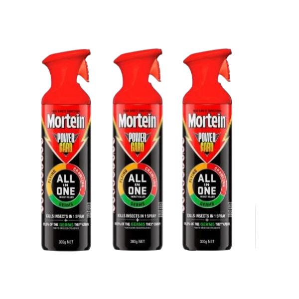 3 x Mortein Powergard All In One Insect Spray Eucalyptus | 300g
